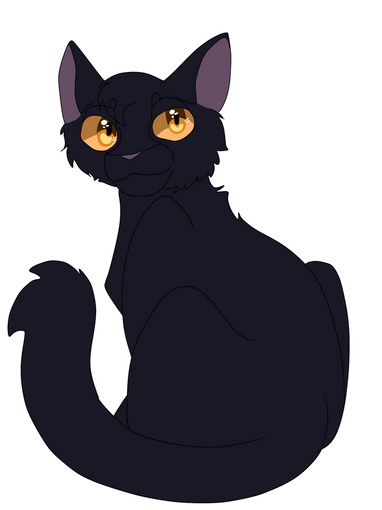 Hawkfur of windclan