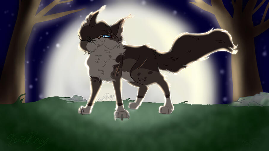 Skywatcher Standing In Front Of The Moon
