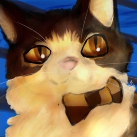 My pet cat