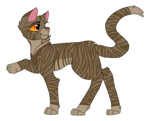 Brackenfur of thunderclan